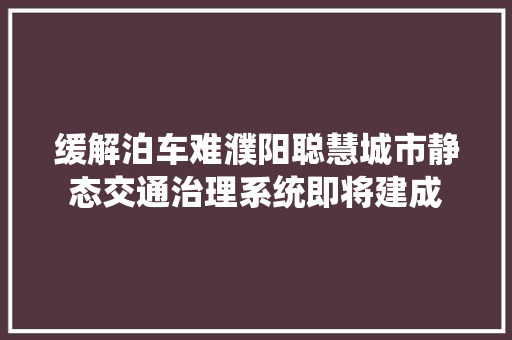 缓解泊车难濮阳聪慧城市静态交通治理系统即将建成