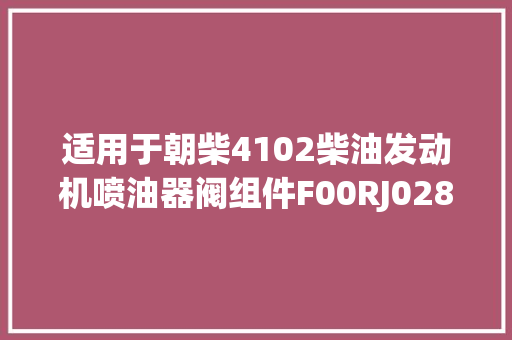 适用于朝柴4102柴油发动机喷油器阀组件F00RJ02806