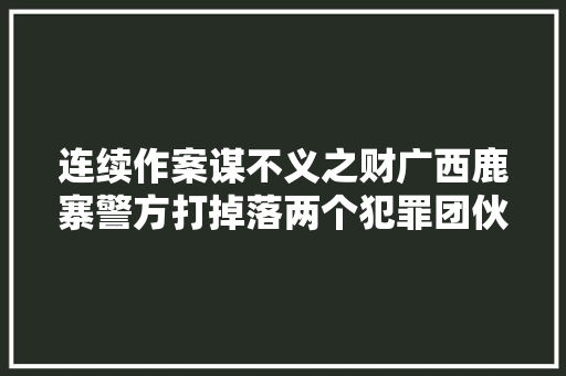 连续作案谋不义之财广西鹿寨警方打掉落两个犯罪团伙