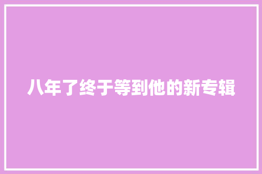 八年了终于等到他的新专辑