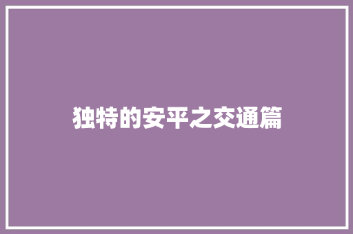 独特的安平之交通篇