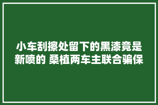 小车刮擦处留下的黑漆竟是新喷的 桑植两车主联合骗保被警方识破