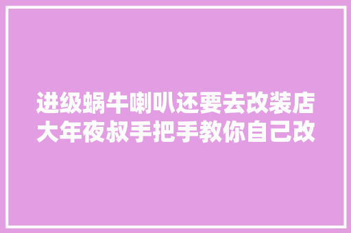 进级蜗牛喇叭还要去改装店大年夜叔手把手教你自己改装