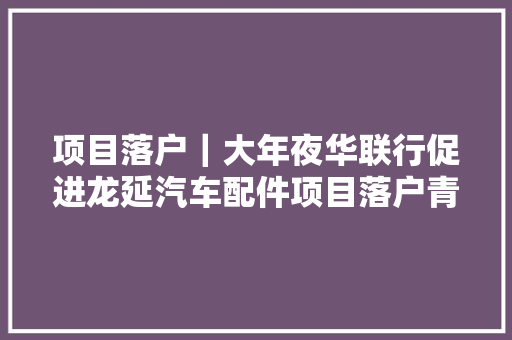 项目落户｜大年夜华联行促进龙延汽车配件项目落户青县开拓区