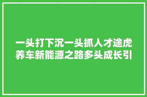 一头打下沉一头抓人才途虎养车新能源之路多头成长引央视关注