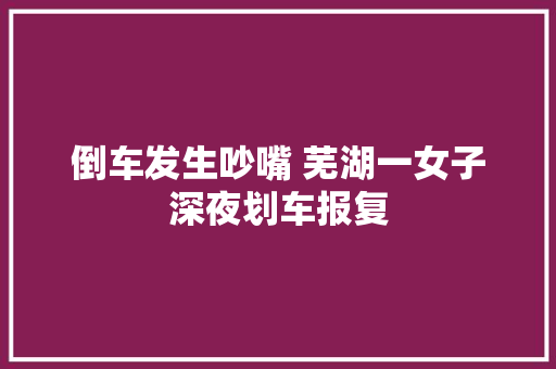 倒车发生吵嘴 芜湖一女子深夜划车报复