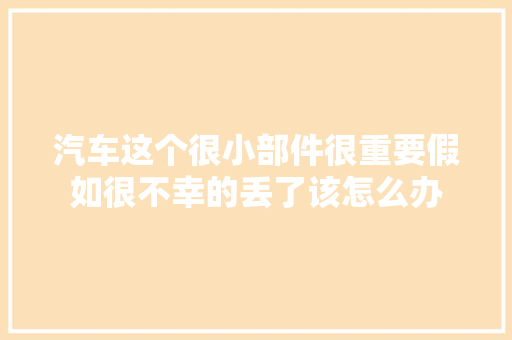 汽车这个很小部件很重要假如很不幸的丢了该怎么办