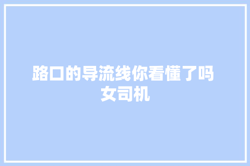 路口的导流线你看懂了吗 女司机