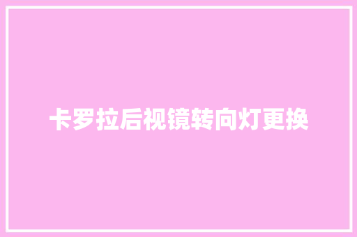 卡罗拉后视镜转向灯更换