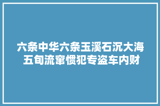 六条中华六条玉溪石沉大海 五旬流窜惯犯专盗车内财物