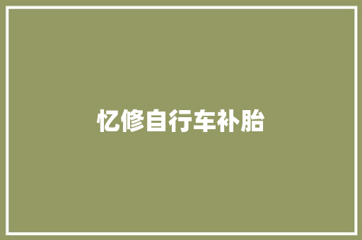 忆修自行车补胎