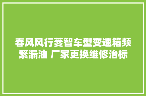 春风风行菱智车型变速箱频繁漏油 厂家更换维修治标不治本