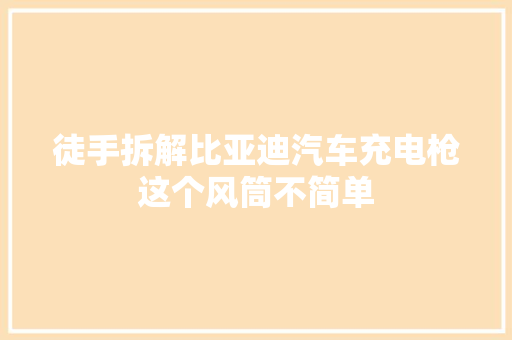 徒手拆解比亚迪汽车充电枪这个风筒不简单