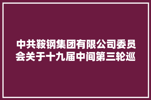 中共鞍钢集团有限公司委员会关于十九届中间第三轮巡视整改进展情况的传递