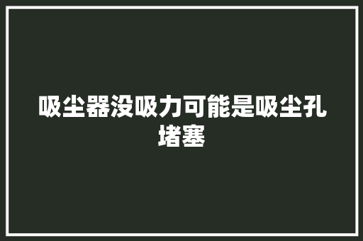 吸尘器没吸力可能是吸尘孔堵塞