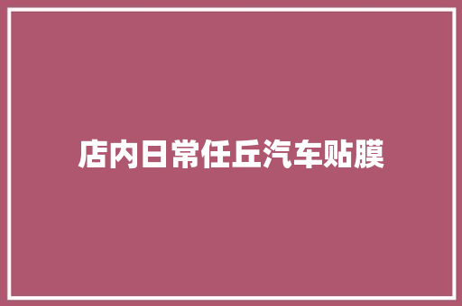店内日常任丘汽车贴膜