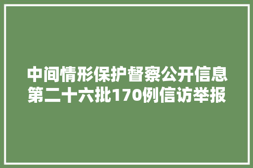 中间情形保护督察公开信息第二十六批170例信访举报问题解决情况上