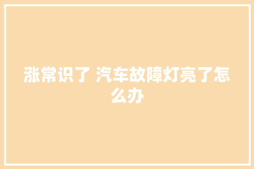涨常识了 汽车故障灯亮了怎么办