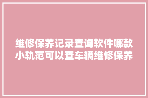 维修保养记录查询软件哪款小轨范可以查车辆维修保养的记录