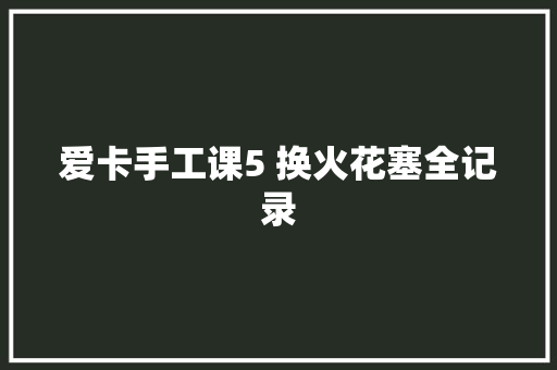 爱卡手工课5 换火花塞全记录