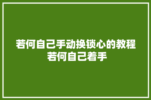 若何自己手动换锁心的教程 若何自己着手