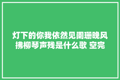 灯下的你我依然见阑珊晚风拂柳琴声残是什么歌 空完整歌词介绍