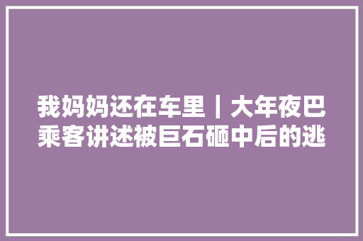 我妈妈还在车里｜大年夜巴乘客讲述被巨石砸中后的逃生