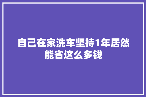 自己在家洗车坚持1年居然能省这么多钱 汽车知识