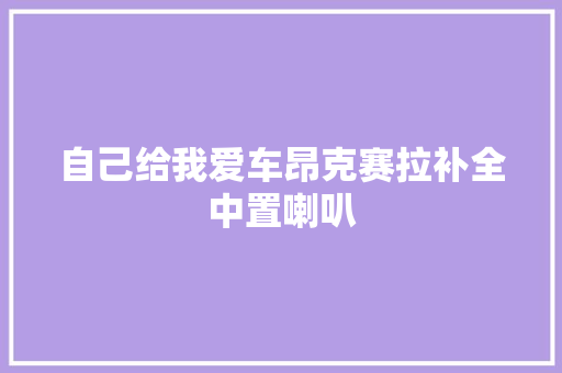 自己给我爱车昂克赛拉补全中置喇叭