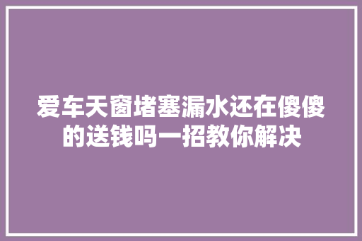 爱车天窗堵塞漏水还在傻傻的送钱吗一招教你解决