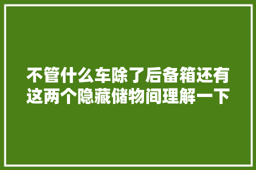 不管什么车除了后备箱还有这两个隐藏储物间理解一下