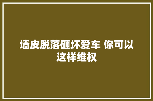 墙皮脱落砸坏爱车 你可以这样维权