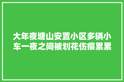 大年夜塘山安置小区多辆小车一夜之间被划花伤痕累累