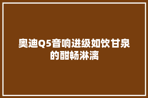 奥迪Q5音响进级如饮甘泉的酣畅淋漓