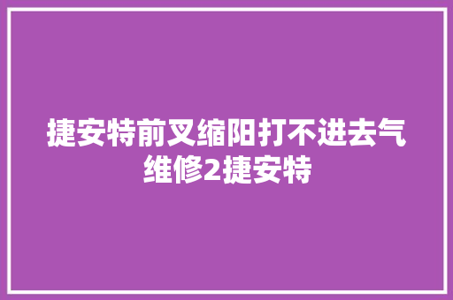 捷安特前叉缩阳打不进去气维修2捷安特