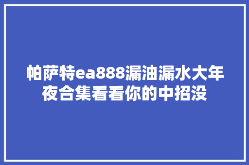 帕萨特ea888漏油漏水大年夜合集看看你的中招没