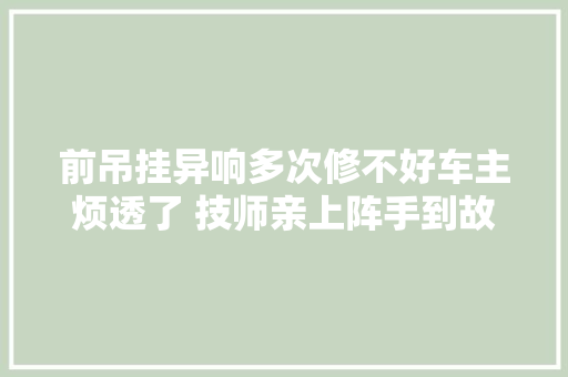 前吊挂异响多次修不好车主烦透了 技师亲上阵手到故障除。