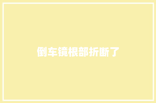 倒车镜根部折断了