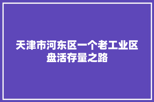 天津市河东区一个老工业区盘活存量之路