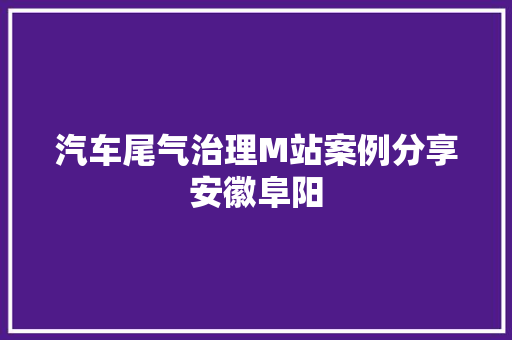 汽车尾气治理M站案例分享安徽阜阳