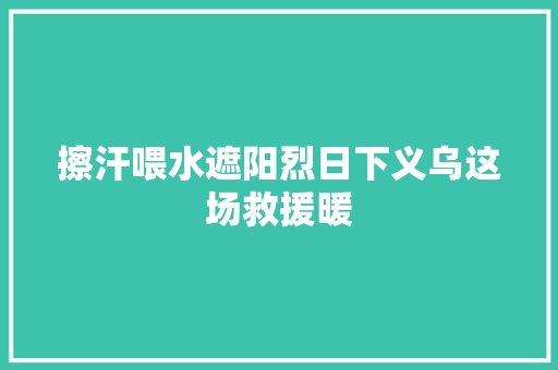 擦汗喂水遮阳烈日下义乌这场救援暖