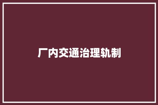 厂内交通治理轨制