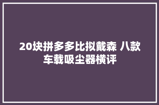 20块拼多多比拟戴森 八款车载吸尘器横评