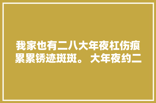 我家也有二八大年夜杠伤痕累累锈迹斑斑。 大年夜约二年级的时刻