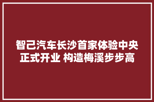 智己汽车长沙首家体验中央正式开业 构造梅溪步步高