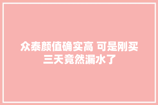 众泰颜值确实高 可是刚买三天竟然漏水了