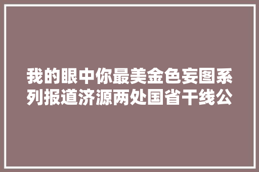 我的眼中你最美金色妄图系列报道济源两处国省干线公路做事区将试运营为我省首批