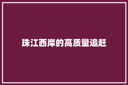 珠江西岸的高质量追赶