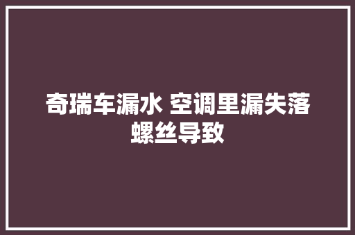 奇瑞车漏水 空调里漏失落螺丝导致