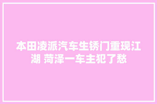 本田凌派汽车生锈门重现江湖 菏泽一车主犯了愁